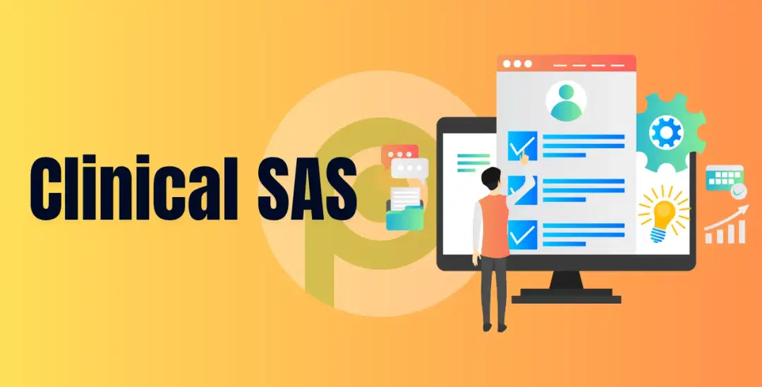 Clinical SAS Course in Chennai